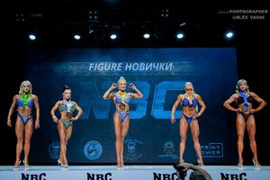 FIGURE НОВИЧКИ